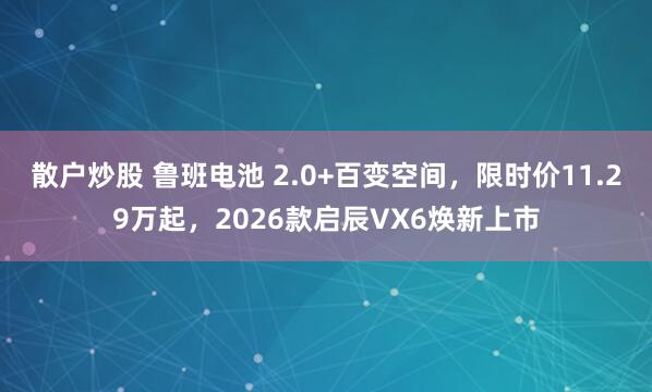 散户炒股 鲁班电池 2.0+百变空间，限时价11.29万起，2026款启辰VX6焕新上市